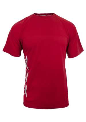 Hillmorton High School PE Tee Red